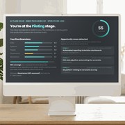 AI Flash Scan